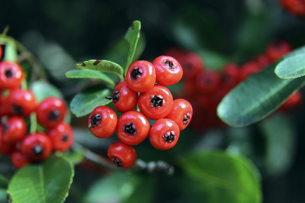 18岁王钰栋被担架抬走！首发51分钟伤退，造乌龙+中框重伤离场.