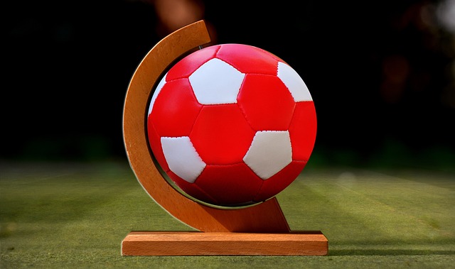 德布勞內妻子個人資料介紹.